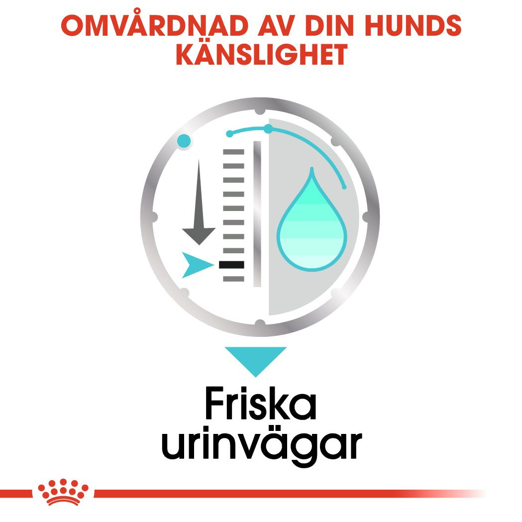 Royal Canin Urinary Care Adult Våtfoder för hund