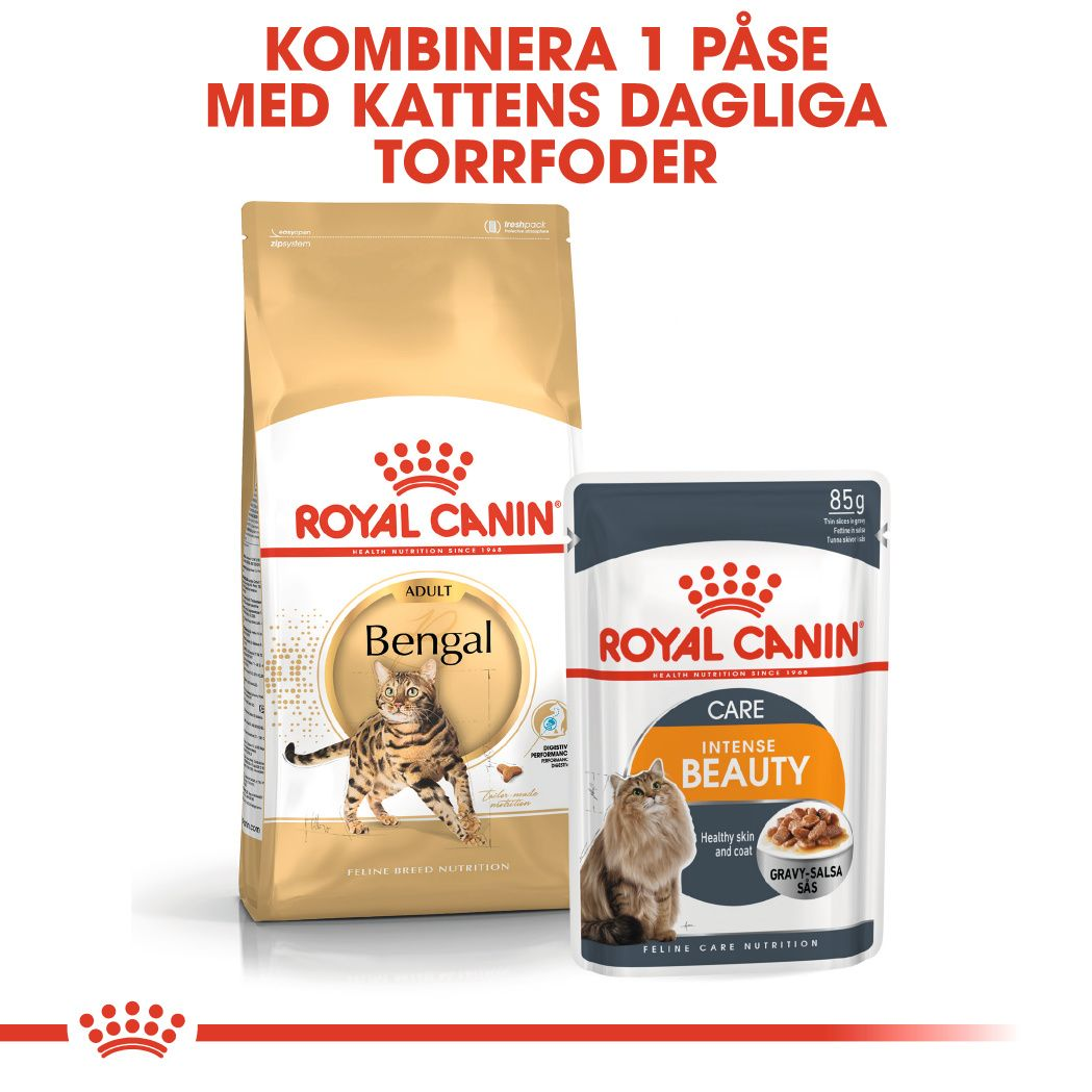 Royal Canin Bengal Adult Torrfoder för katt