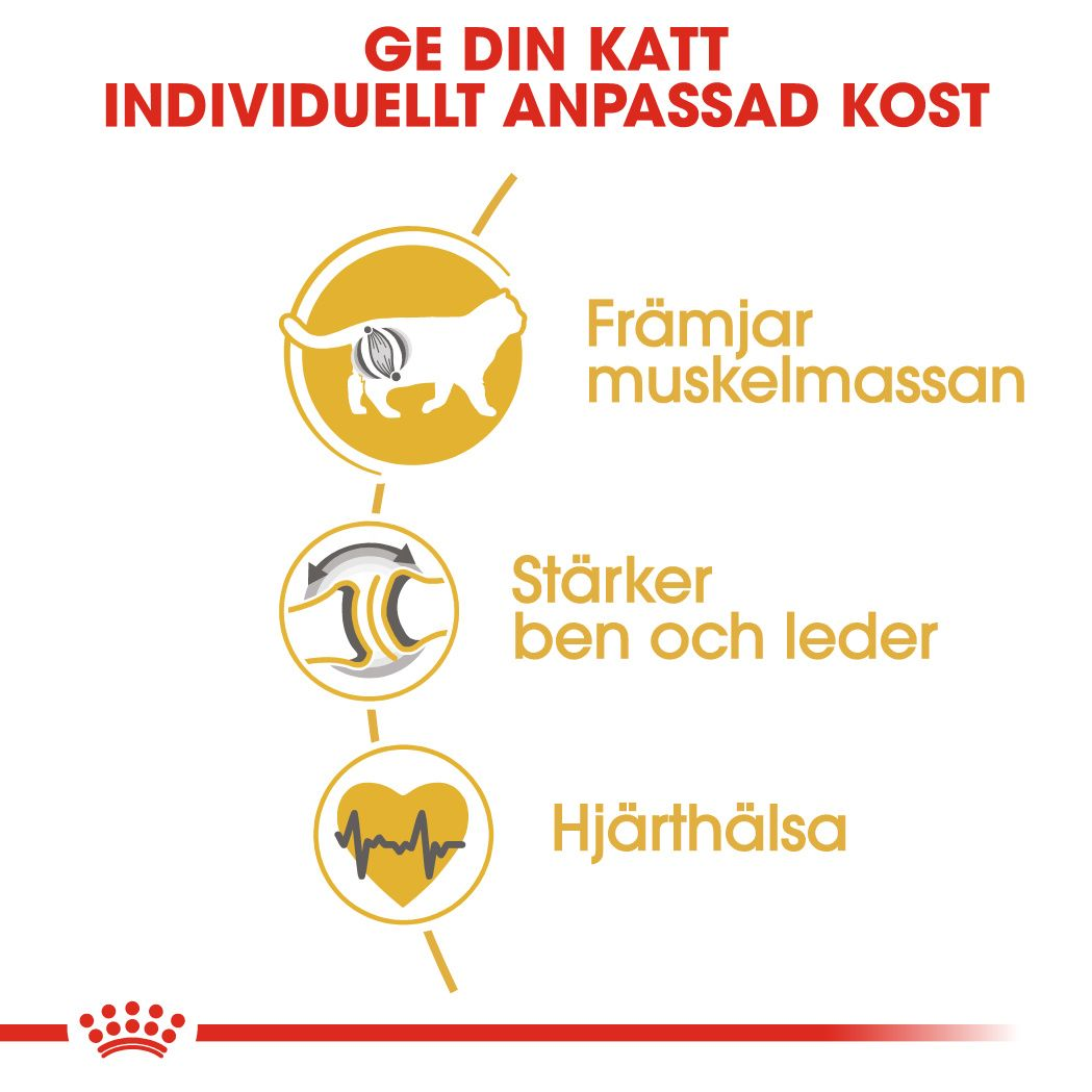 Royal Canin British Shorthair Adult Torrfoder för katt