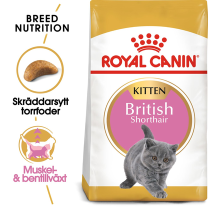 Royal Canin British Shorthair Kitten Torrfoder för kattunge