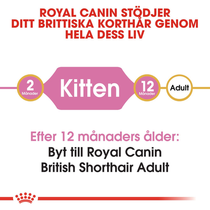 Royal Canin British Shorthair Kitten Torrfoder för kattunge