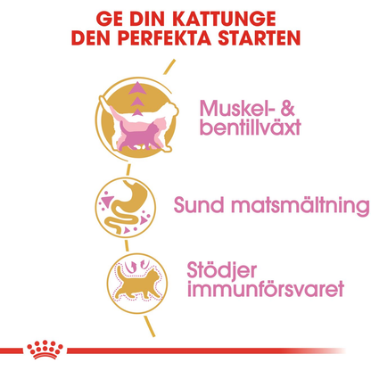 Royal Canin British Shorthair Kitten Torrfoder för kattunge
