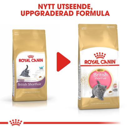 Royal Canin British Shorthair Kitten Torrfoder för kattunge