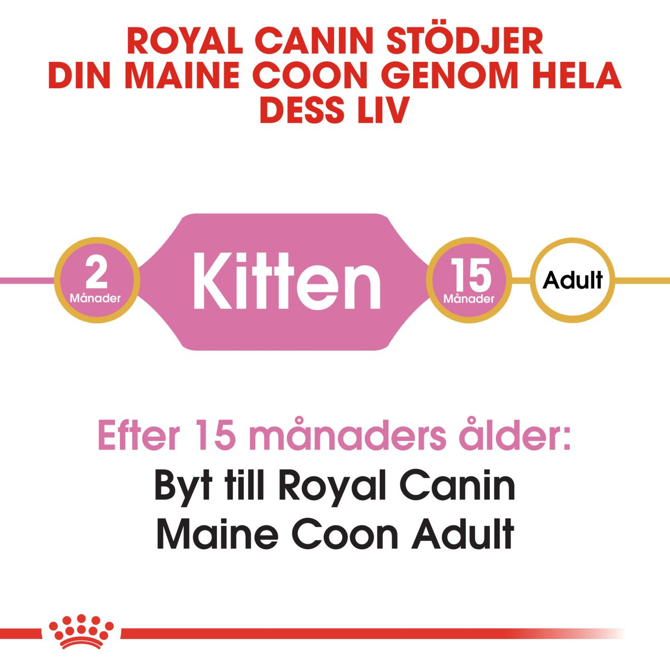Royal Canin Maine Coon Kitten Torrfoder för kattunge