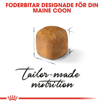 Royal Canin Maine Coon Kitten Torrfoder för kattunge