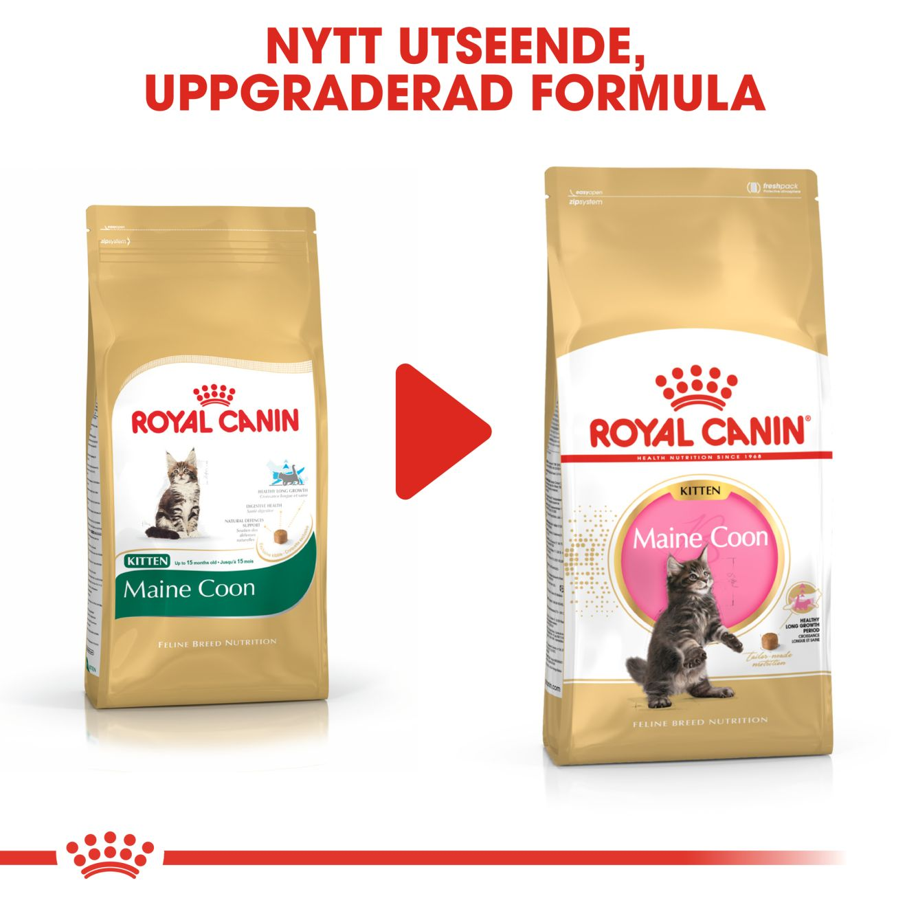 Royal Canin Maine Coon Kitten Torrfoder för kattunge