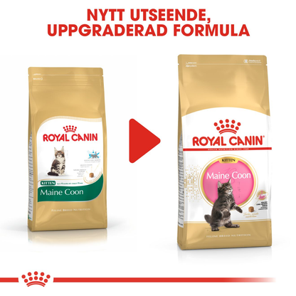 Royal Canin Maine Coon Kitten Torrfoder för kattunge