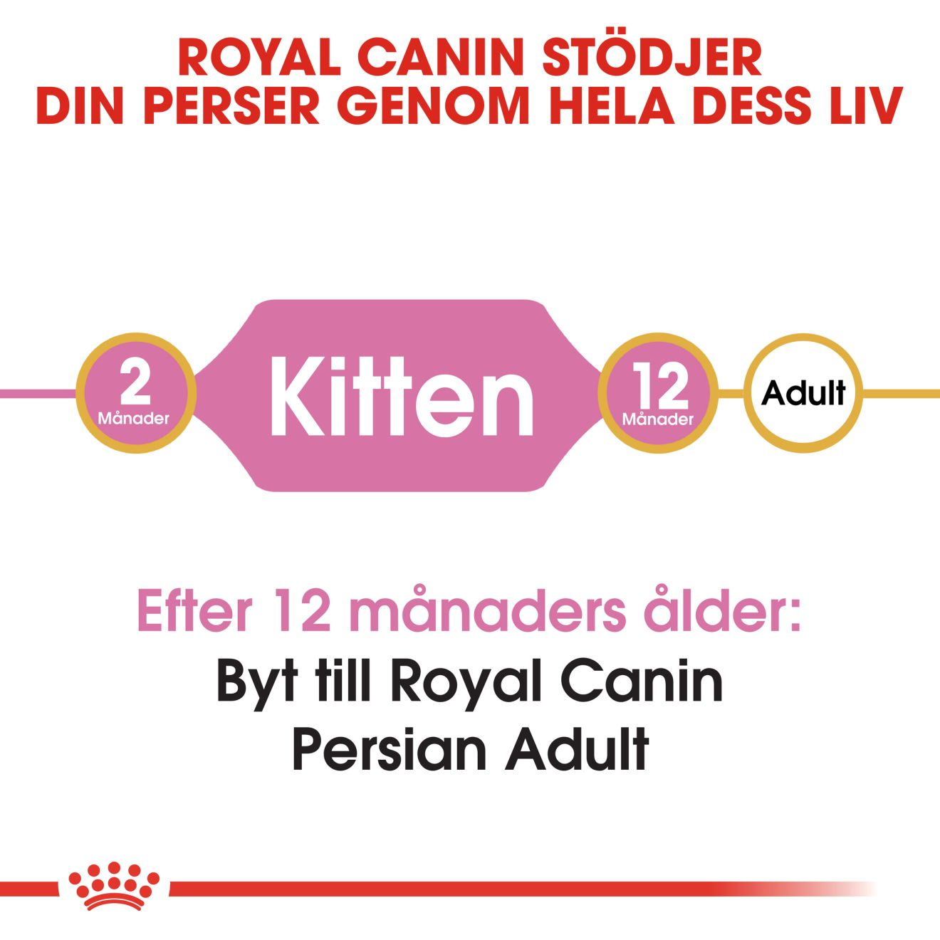 Royal Canin Persian Kitten Torrfoder för kattunge