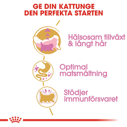 Royal Canin Persian Kitten Torrfoder för kattunge