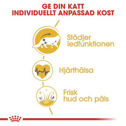 Royal Canin Maine Coon Adult Torrfoder för katt