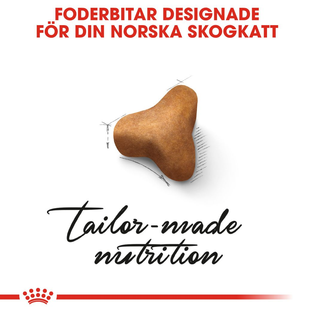 Royal Canin Norwegian Forest Adult Torrfoder för katt