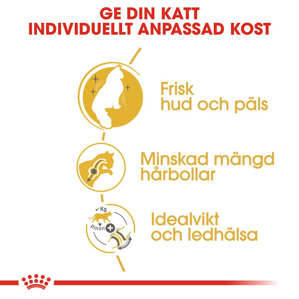 Royal Canin Norwegian Forest Adult Torrfoder för katt