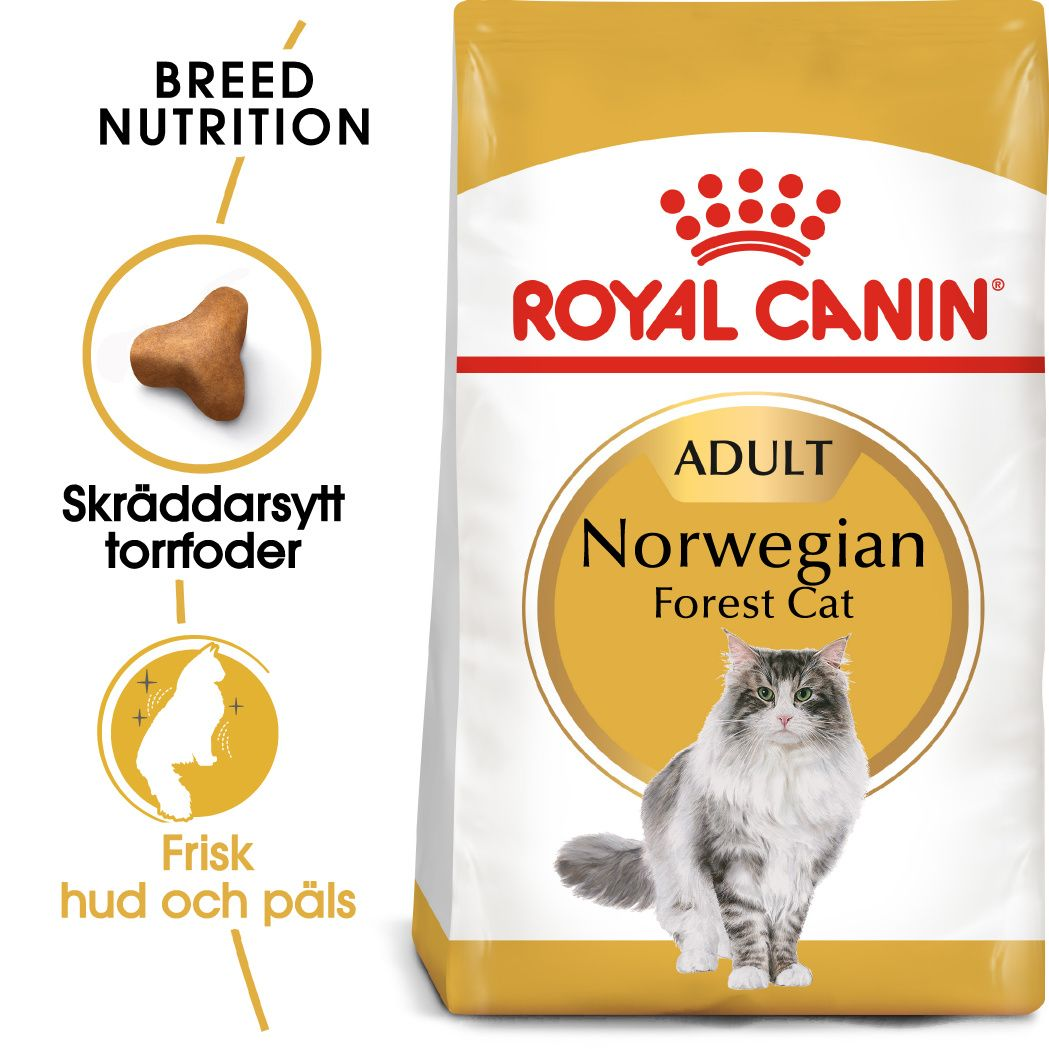 Royal Canin Norwegian Forest Adult Torrfoder för katt