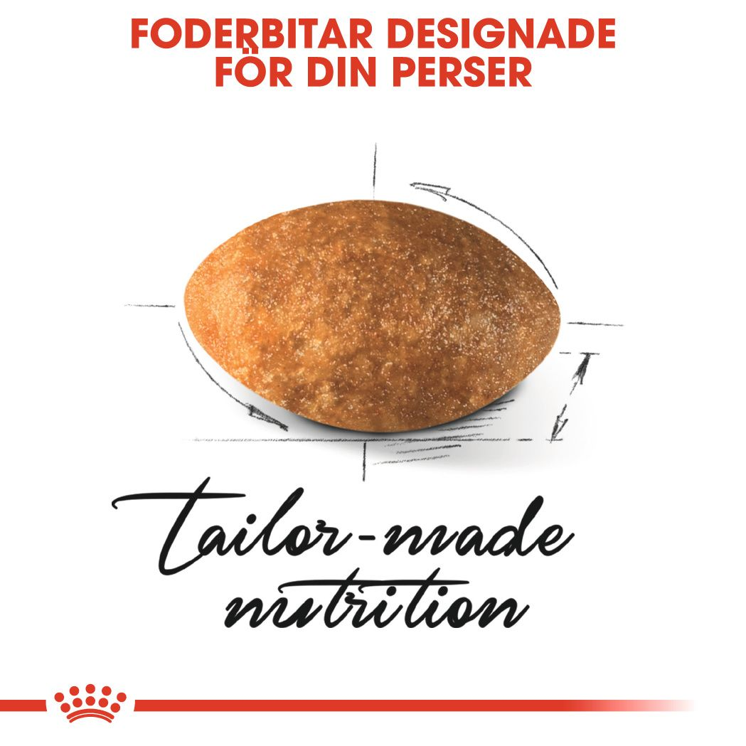 Royal Canin Persian Adult Torrfoder för katt