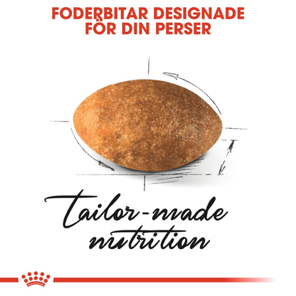 Royal Canin Persian Adult Torrfoder för katt