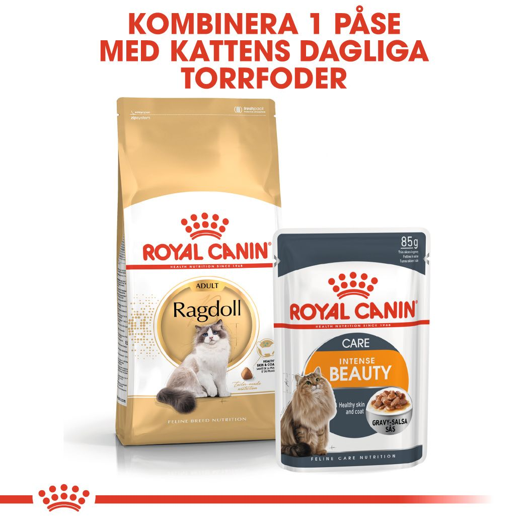 Royal Canin Ragdoll Adult Torrfoder för katt