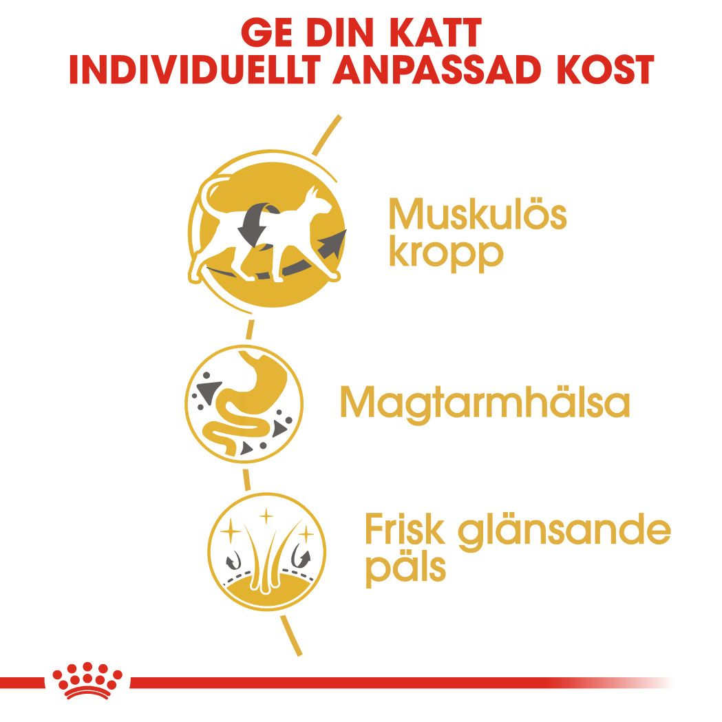 Royal Canin Siamese Adult Torrfoder för katt