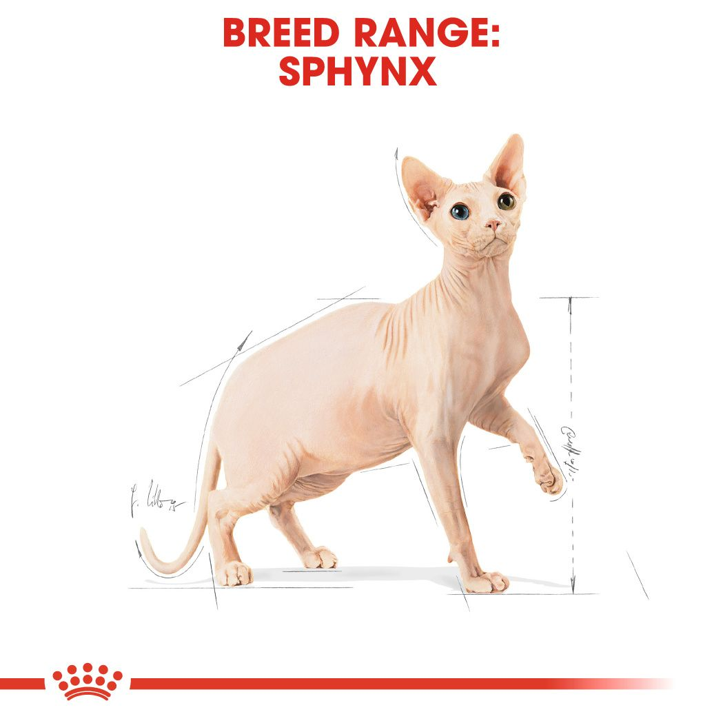 Royal Canin Sphynx Adult Torrfoder för katt