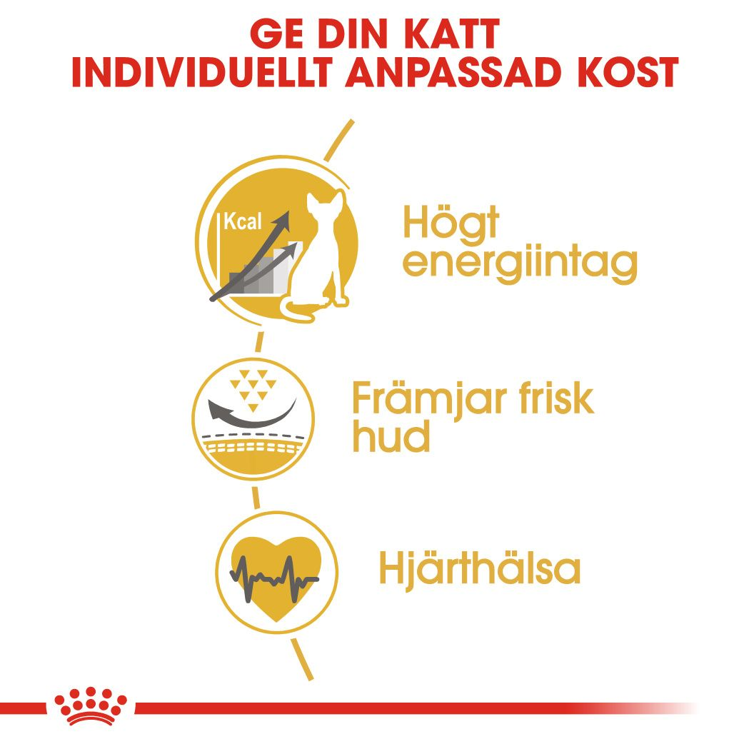 Royal Canin Sphynx Adult Torrfoder för katt