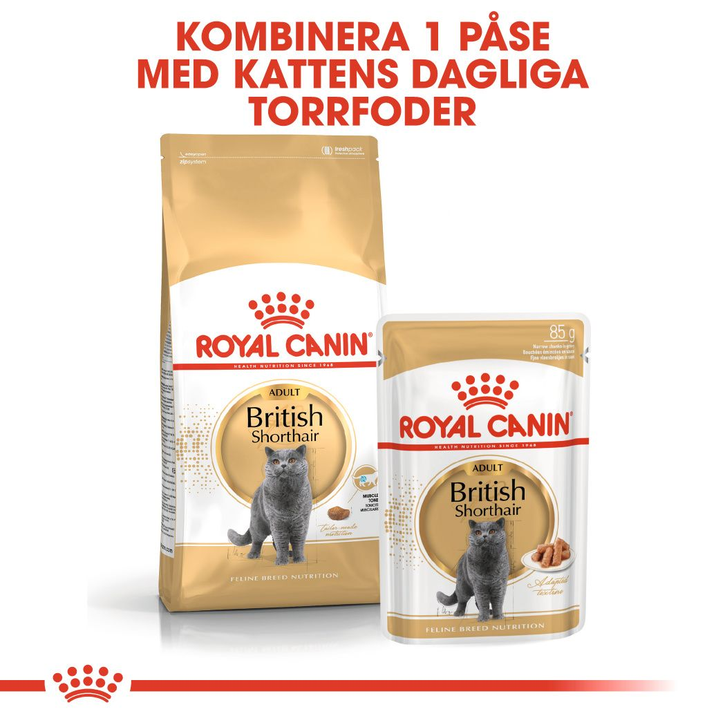 Royal Canin British Shorthair Adult Våtfoder för katt