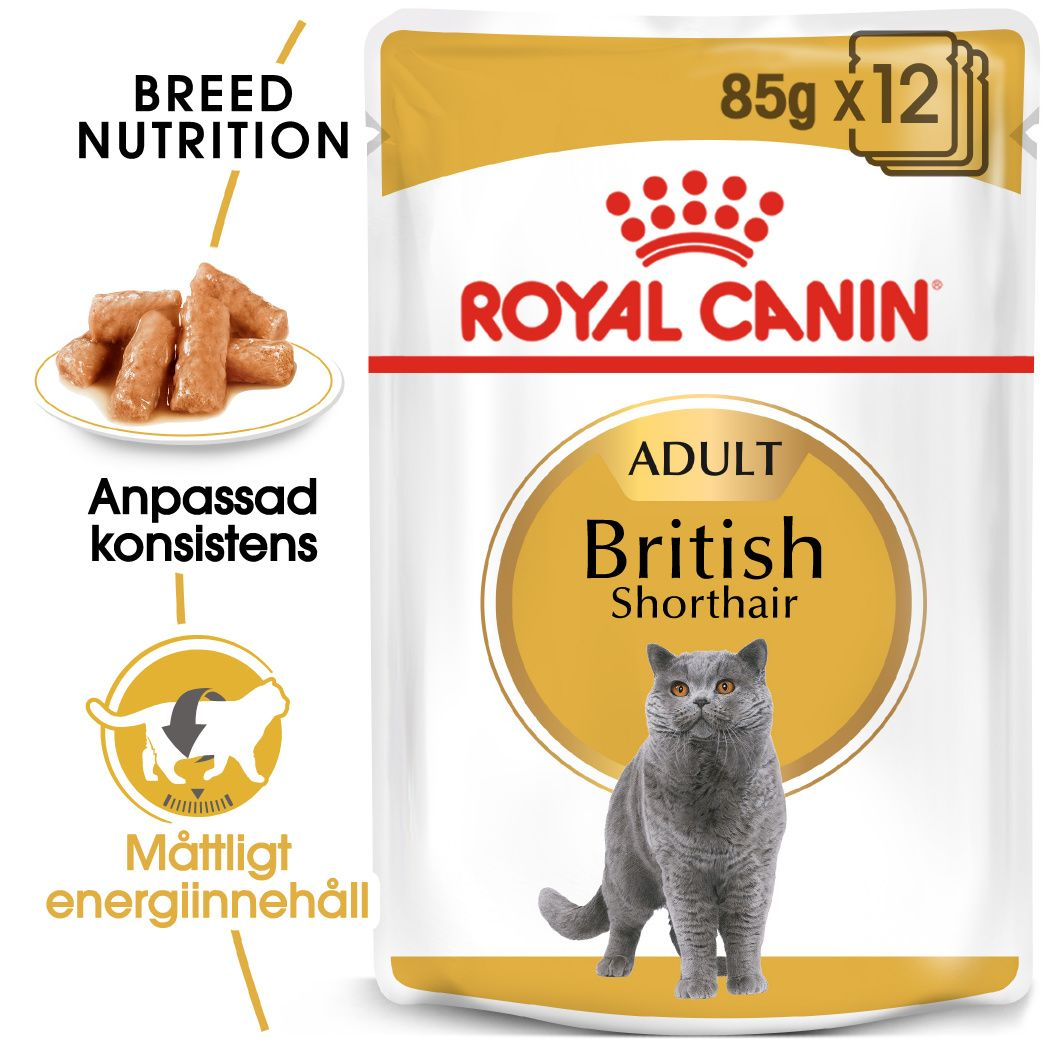 Royal Canin British Shorthair Adult Våtfoder för katt
