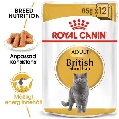 Royal Canin British Shorthair Adult Våtfoder för katt