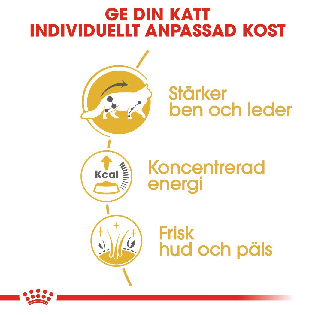 Royal Canin Maine Coon Adult Våtfoder för katt