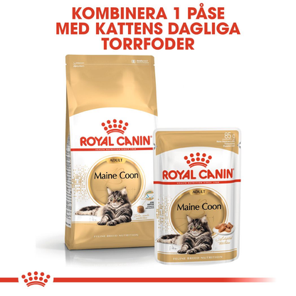 Royal Canin Maine Coon Adult Våtfoder för katt