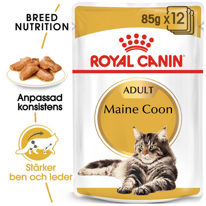 Royal Canin Maine Coon Adult Våtfoder för katt