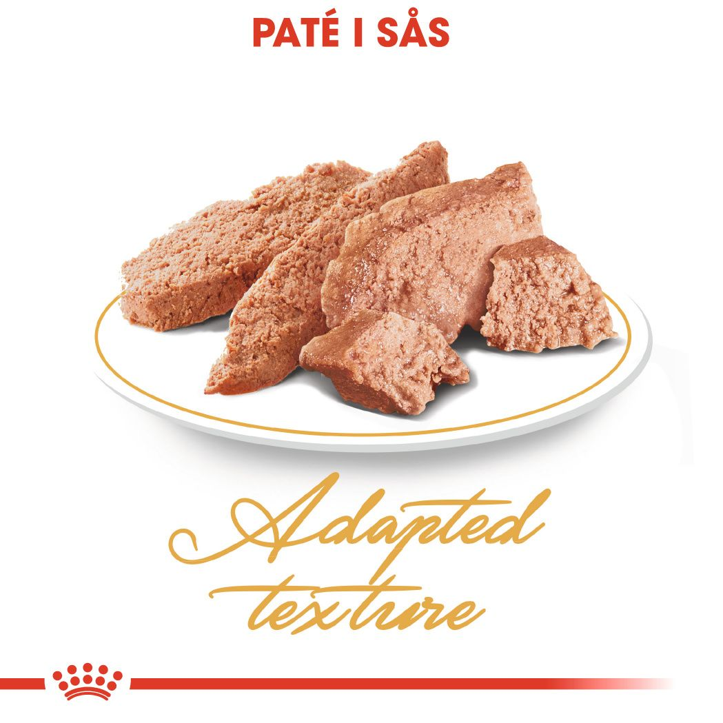 Royal Canin Persian Adult Våtfoder för katt