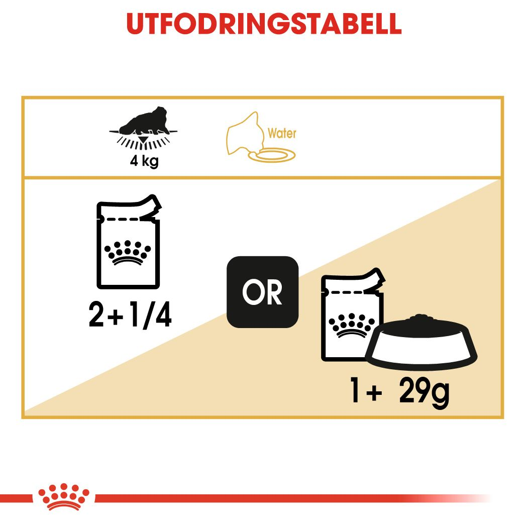 Royal Canin Persian Adult Våtfoder för katt