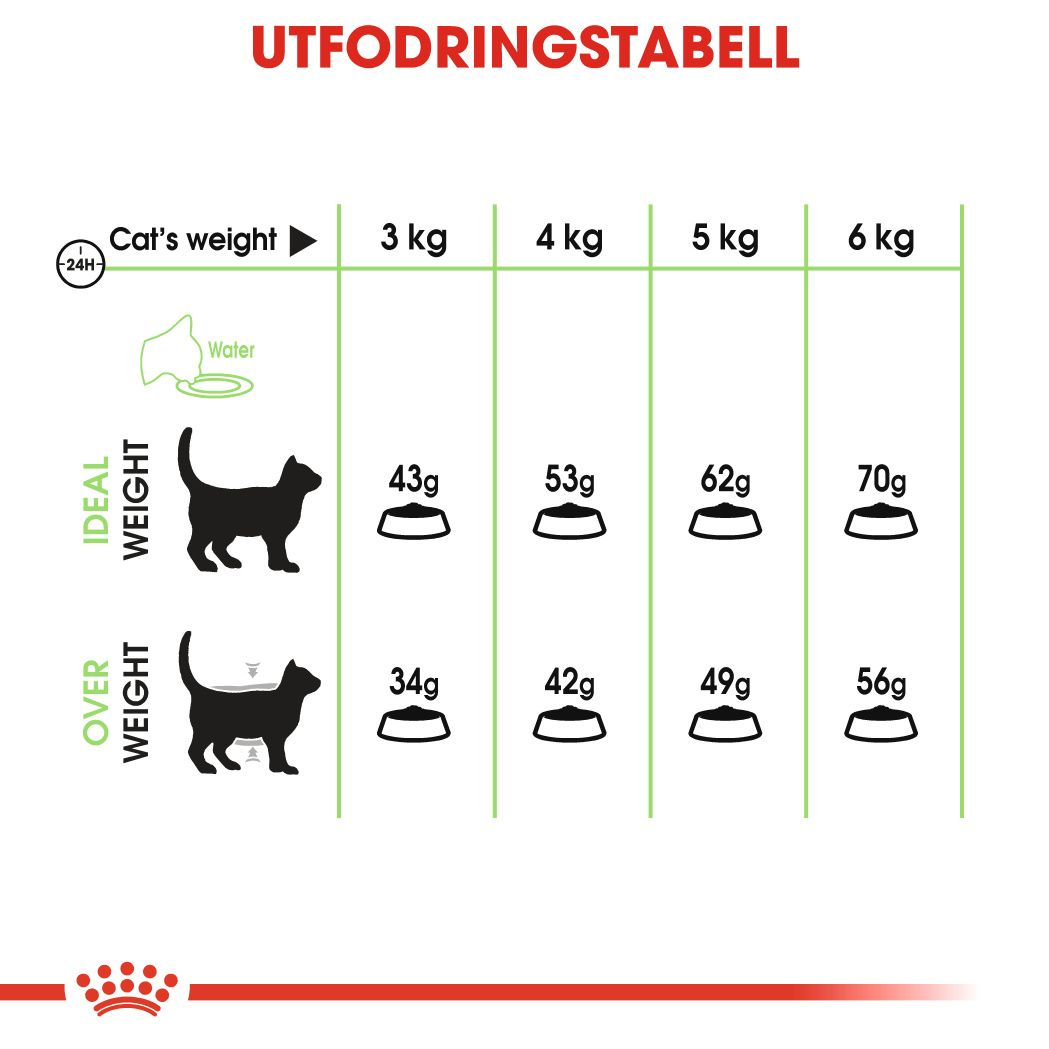 Royal Canin Digestive Care Adult Torrfoder för katt