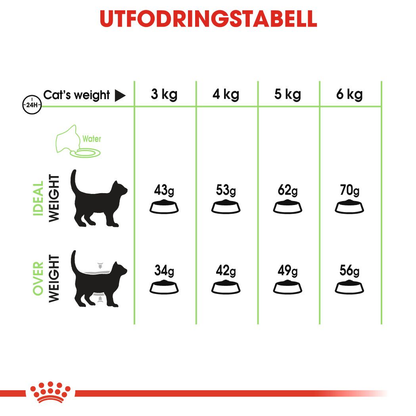 Royal Canin Digestive Care Adult Torrfoder för katt