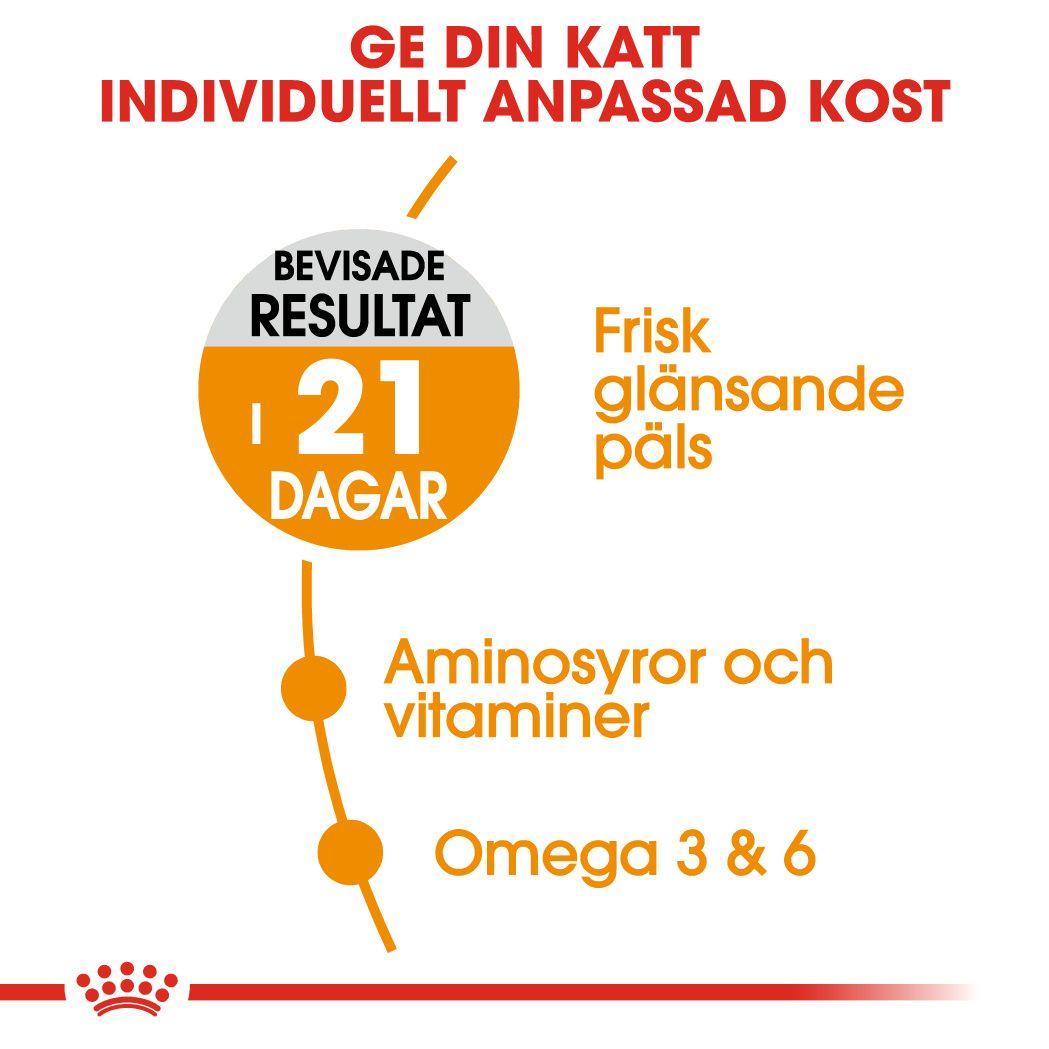 Royal Canin Hair &amp; Skin Care Adult Torrfoder för katt