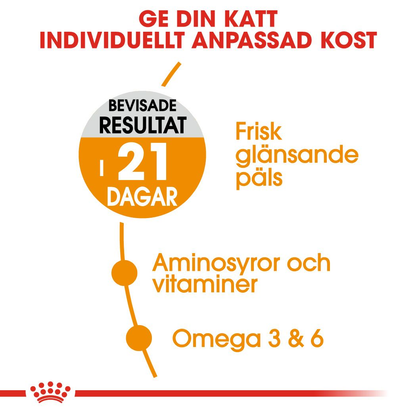 Royal Canin Hair &amp; Skin Care Adult Torrfoder för katt