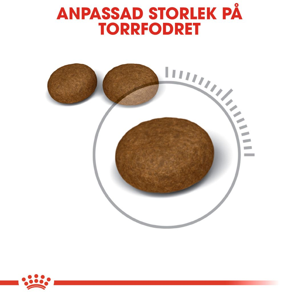 Royal Canin Hair &amp; Skin Care Adult Torrfoder för katt