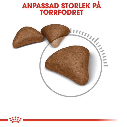 Royal Canin Hairball Care Adult Torrfoder för katt