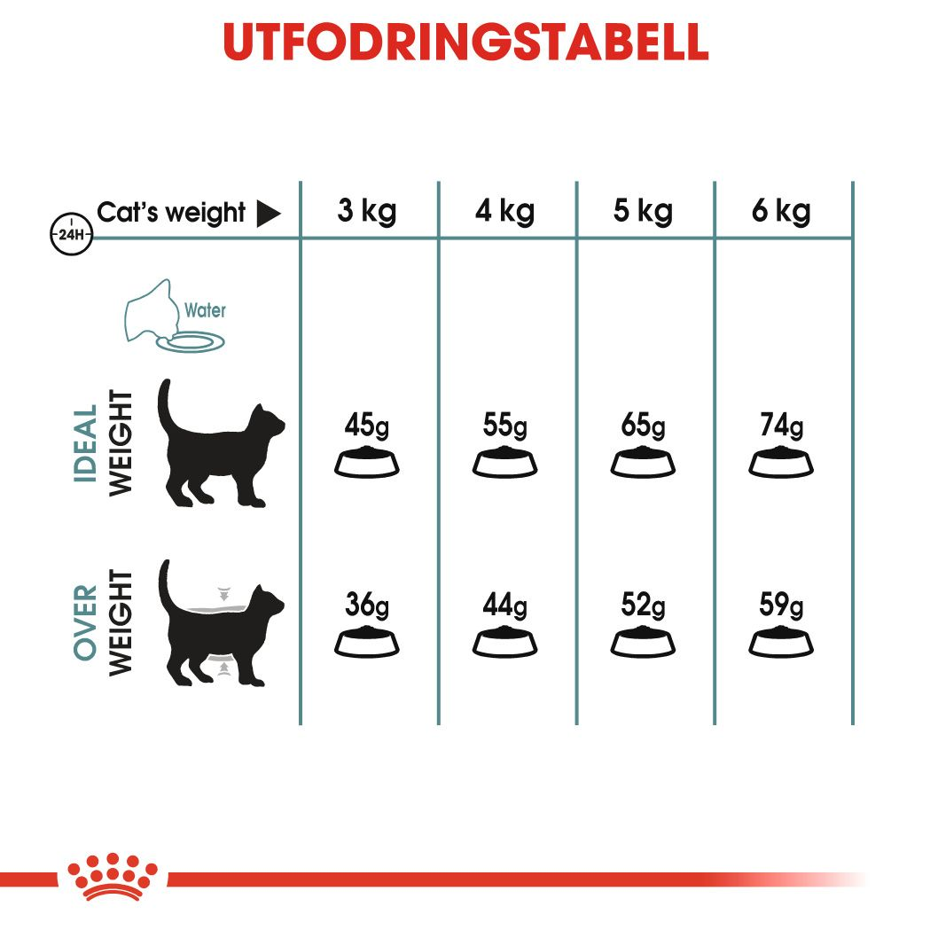 Royal Canin Hairball Care Adult Torrfoder för katt