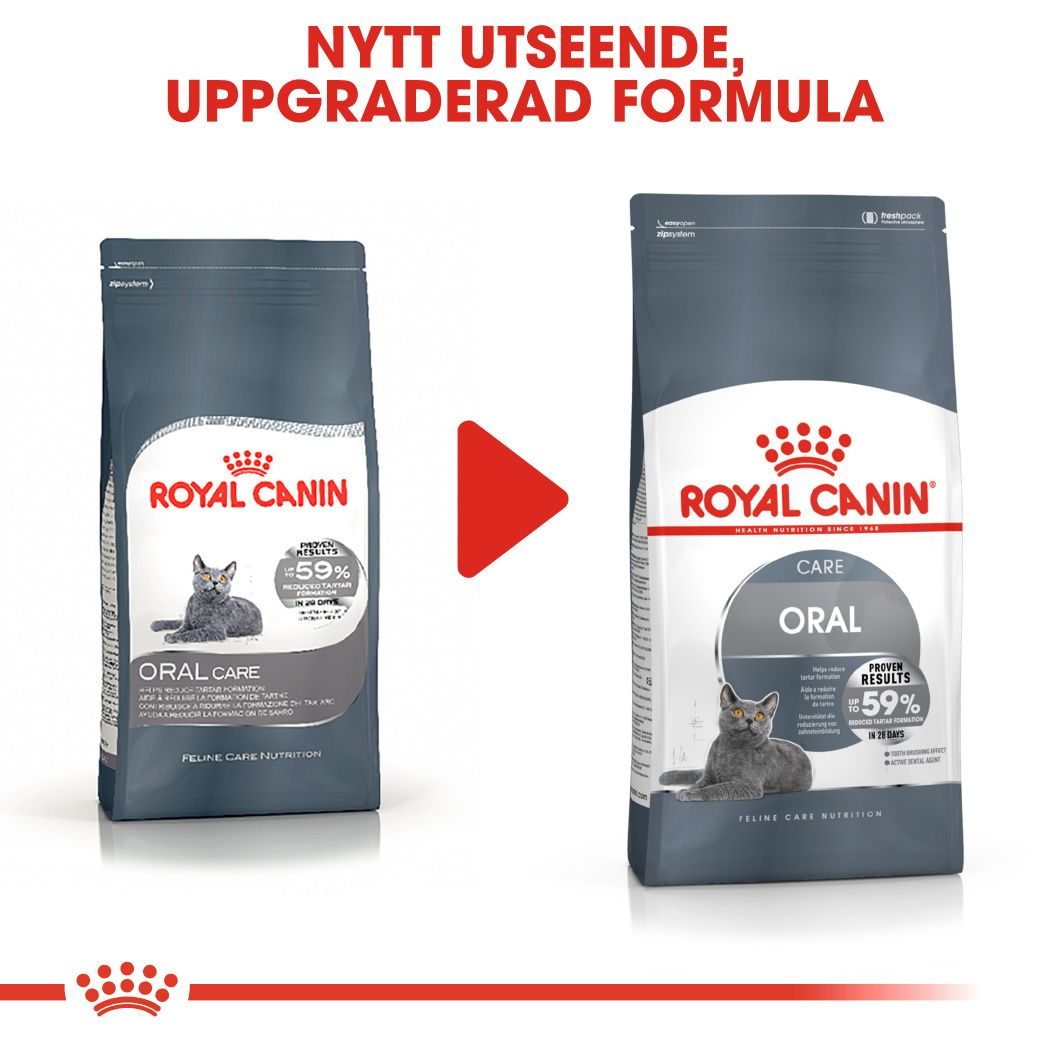 Royal Canin Dental Care Adult Torrfoder för katt