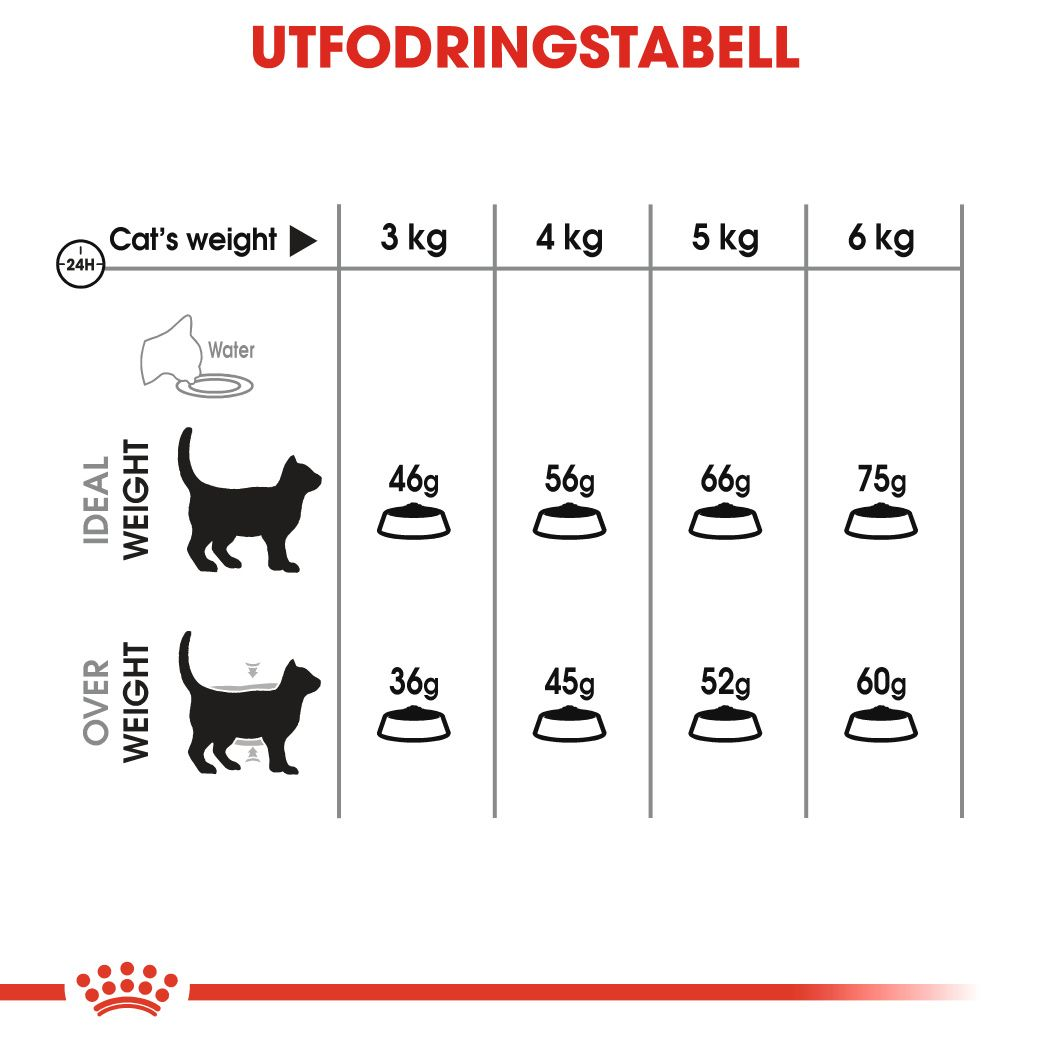 Royal Canin Dental Care Adult Torrfoder för katt