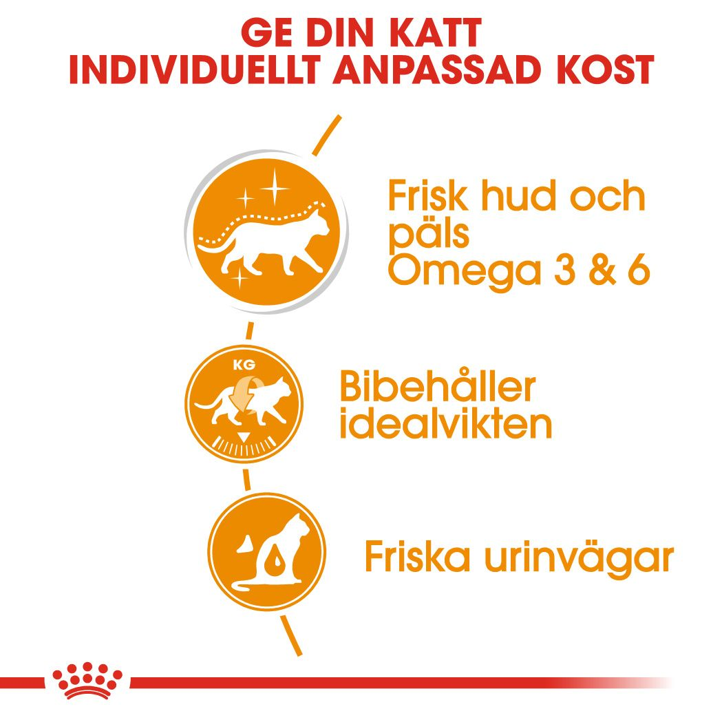 Royal Canin Hair & Skin Care Jelly Adult Våtfoder för katt