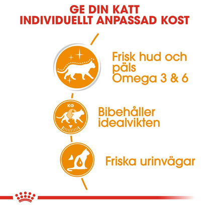 Royal Canin Hair & Skin Care Jelly Adult Våtfoder för katt