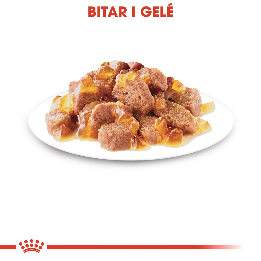 Royal Canin Hair & Skin Care Jelly Adult Våtfoder för katt