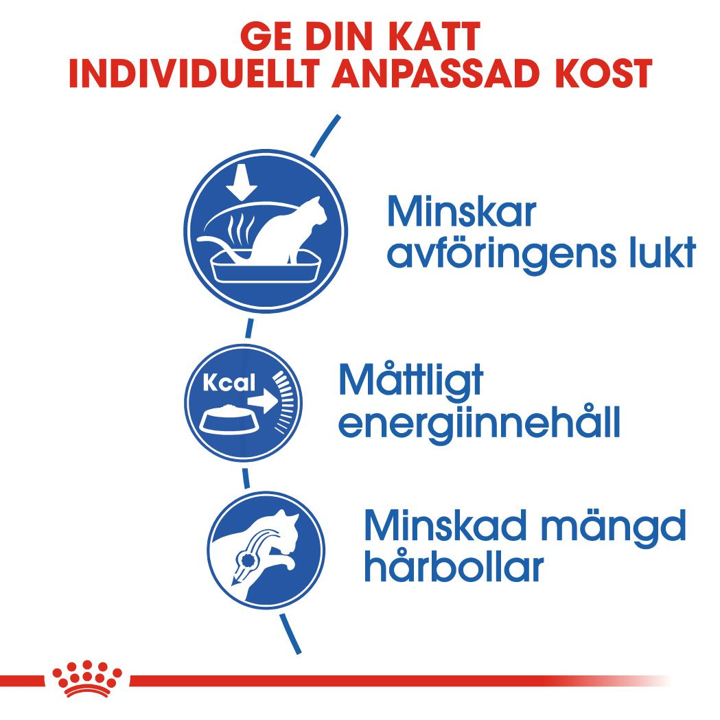 Royal Canin Indoor Adult Torrfoder för katt