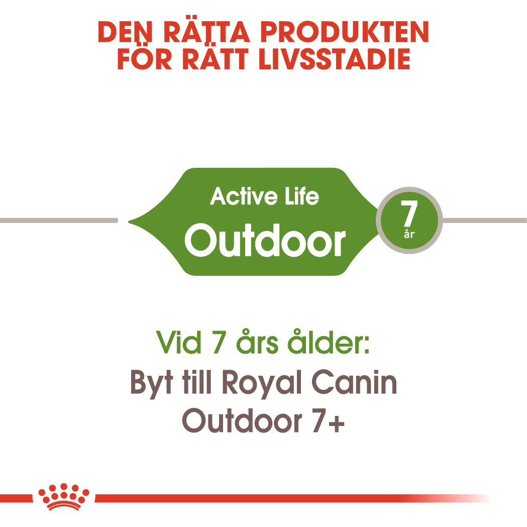 Royal Canin Outdoor Adult Torrfoder för katt