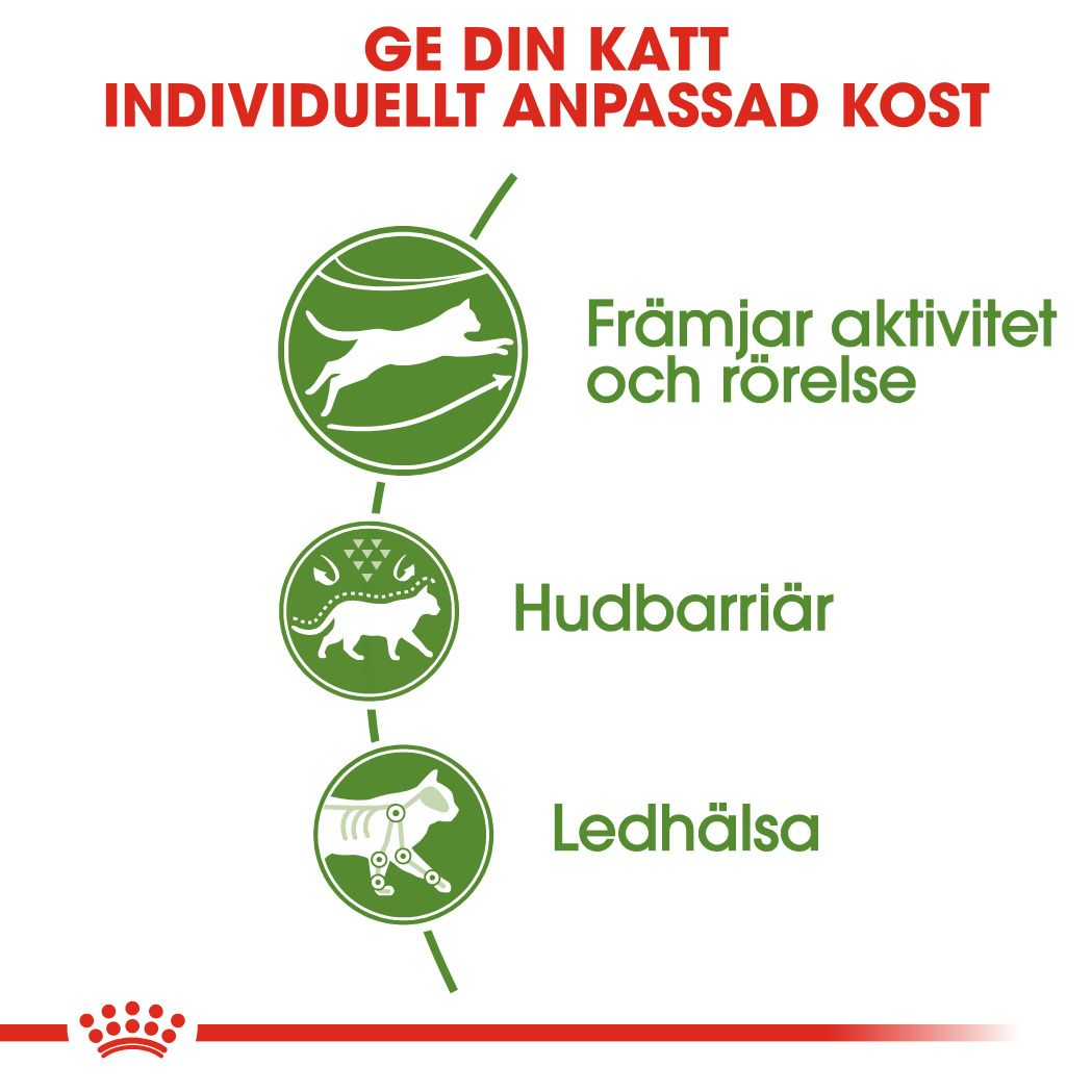 Royal Canin Outdoor Adult Torrfoder för katt