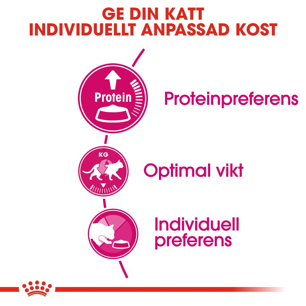Royal Canin Protein Exigent Adult Torrfoder för katt