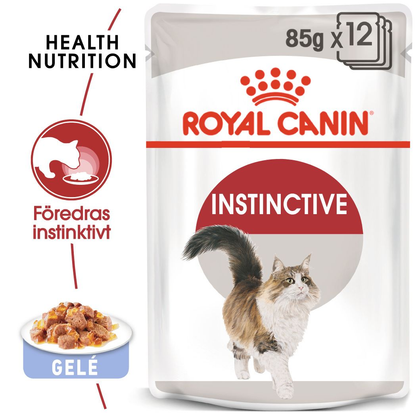 Royal Canin Instinctive Jelly Adult Våtfoder för katt
