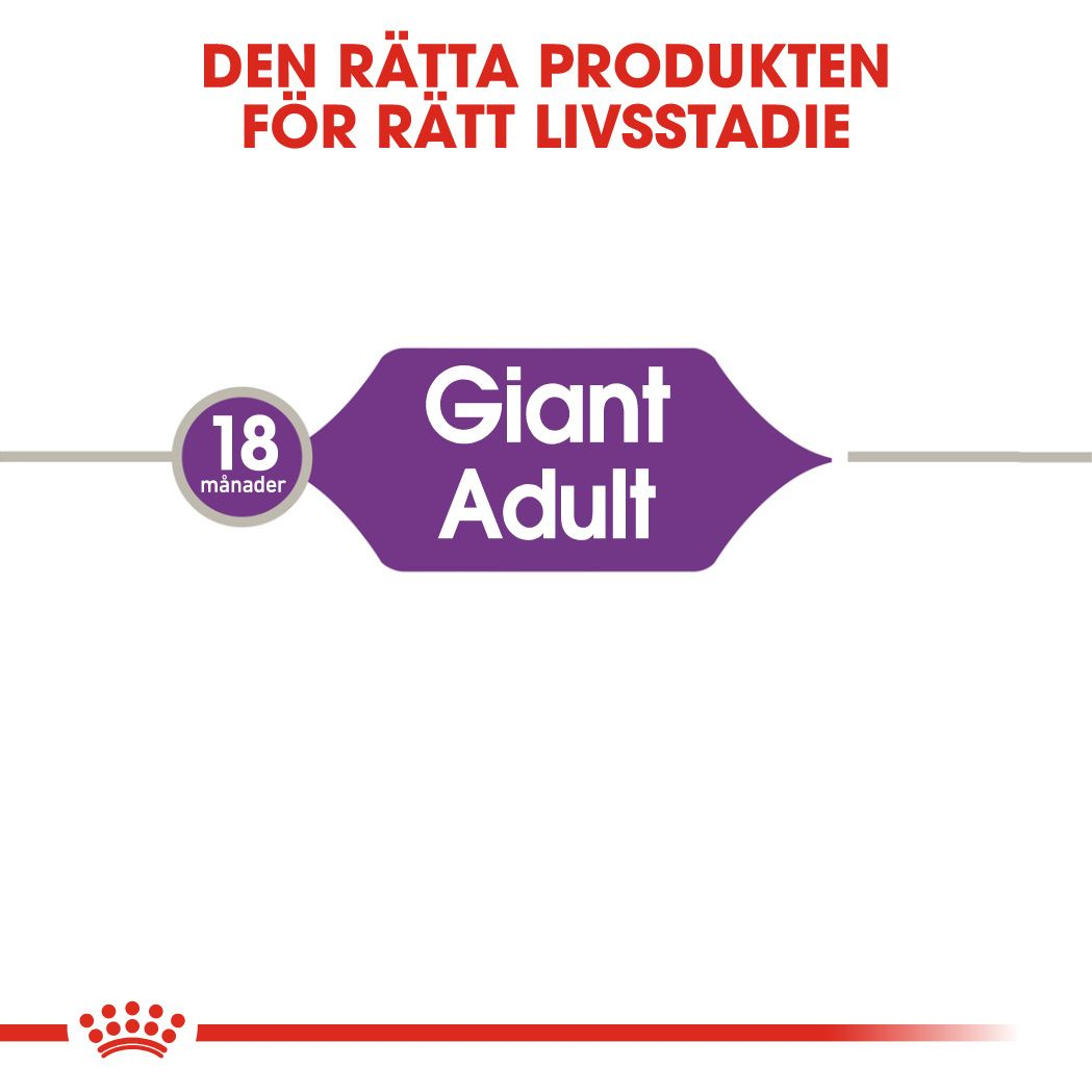 Royal Canin GIANT Adult Torrfoder för hund