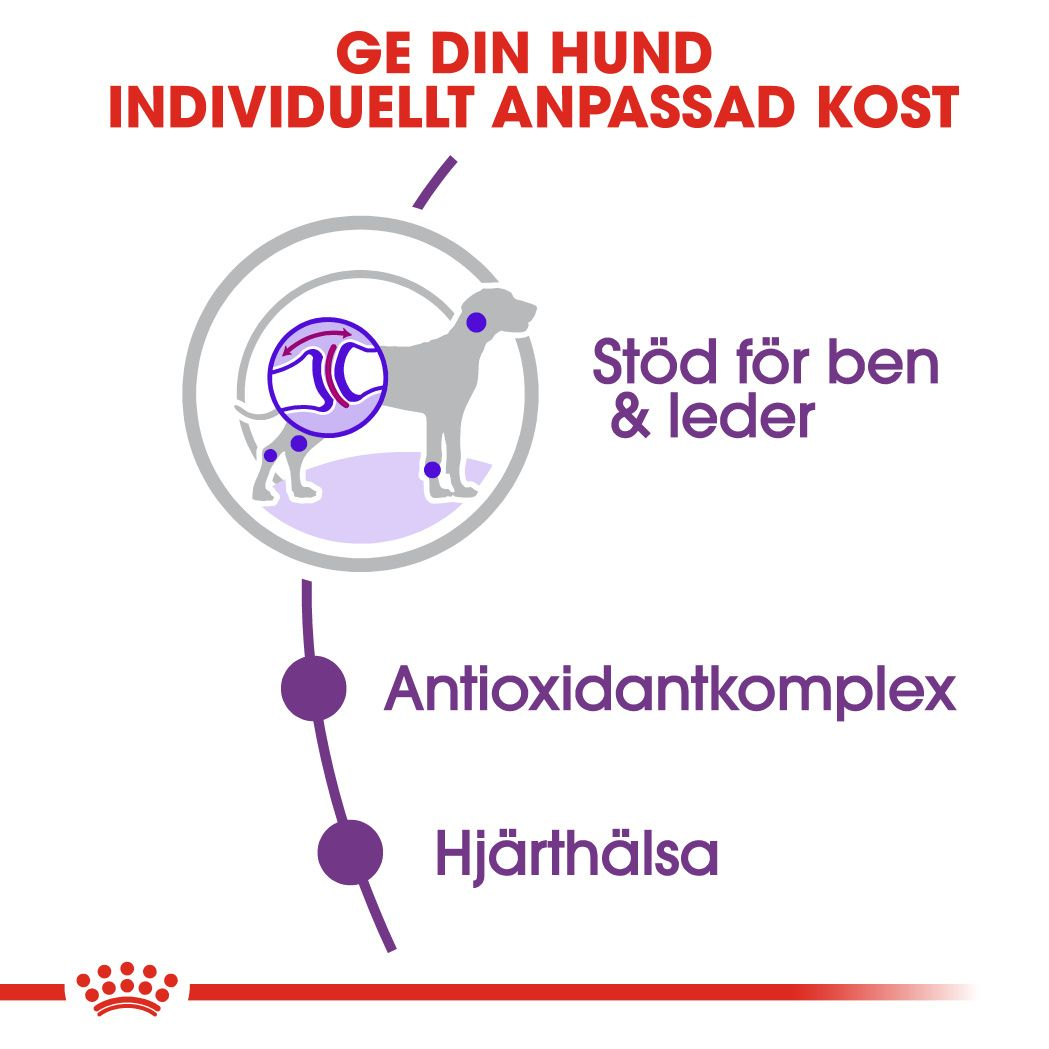 Royal Canin GIANT Adult Torrfoder för hund